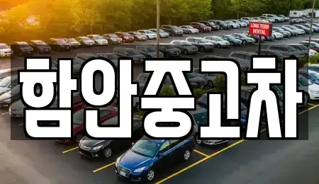 경상남도 함안군 중고차매매 전문 함안중고차