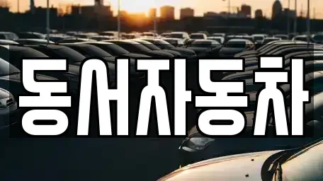 경상남도 함양군 서상면 중고차 전문 동서자동차