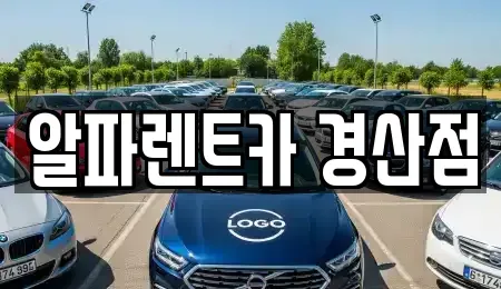 경상북도 경산시 대평동 렌트카 전문 알파렌트카 경산점