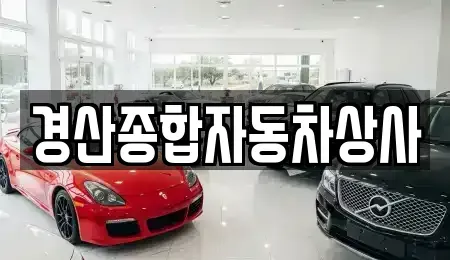 경상북도 경산시 대평동 중고차,렌트카,중고차매입,중고차매매,장기렌트카,단기렌트카