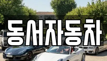 경상북도 경산시 대평동 중고차 전문 동서자동차