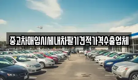 경상북도 경산시 대평동 중고차 전문 중고차매입시세내차팔기견적가격수출업체
