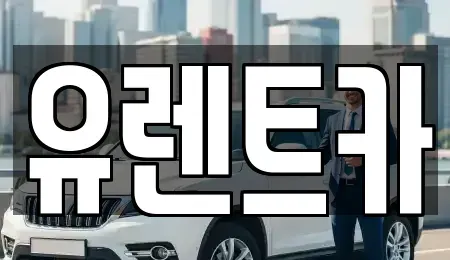 경상북도 경산시 신교동 렌트카 전문 유렌트카