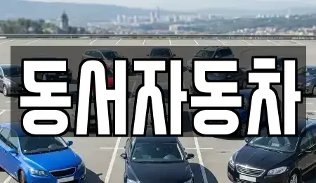 경상북도 경산시 신교동 중고차 전문 동서자동차