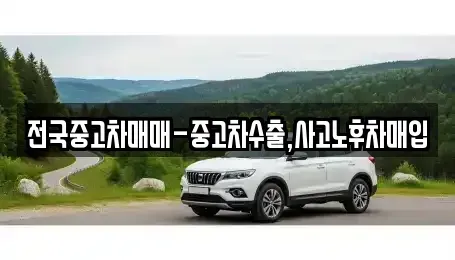 경상북도 경산시 신교동 중고차 전문 전국중고차매매-중고차수출,사고노후차매입