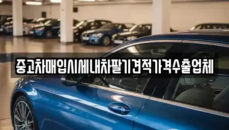 경상북도 경산시 신교동 장기렌트카,중고차,렌트카,단기렌트카,중고차매입,중고차매매