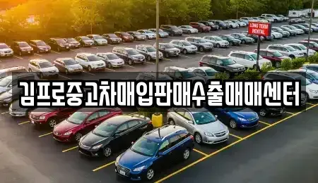 경상북도 경산시 신교동 중고차매입 전문 김프로중고차매입판매수출매매센터