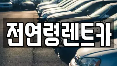 경상북도 경산시 정평동 렌트카 전문 전연령렌트카