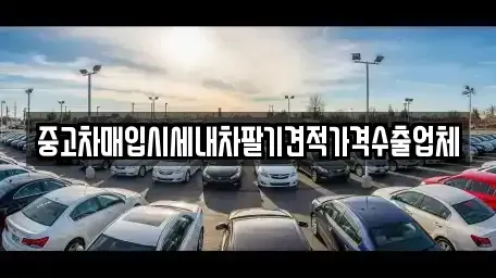 경상북도 경산시 정평동 중고차매입 전문 중고차매입시세내차팔기견적가격수출업체