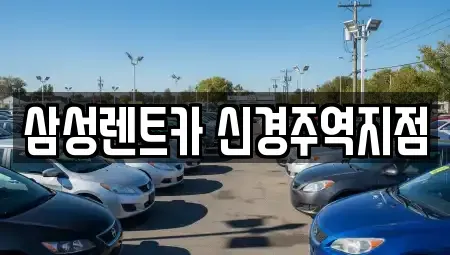 경상북도 경주시 건천읍 렌트카 전문 삼성렌트카 신경주역지점