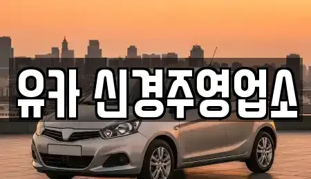 경상북도 경주시 건천읍 렌트카 전문 유카 신경주영업소