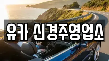 경상북도 경주시 내남면 렌트카 전문 유카 신경주영업소