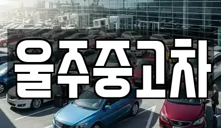 경상북도 경주시 내남면 중고차 전문 울주중고차