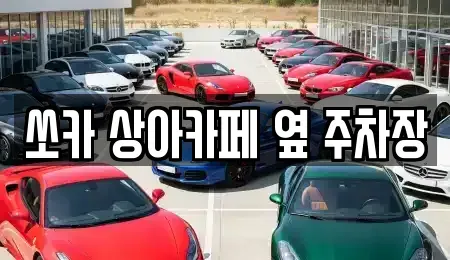 경상북도 경주시 노서동 렌트카 전문 쏘카 상아카페 옆 주차장
