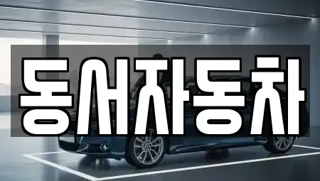 경상북도 경주시 노서동 중고차 전문 동서자동차