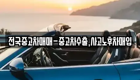 경상북도 경주시 노서동 중고차 전문 전국중고차매매-중고차수출,사고노후차매입