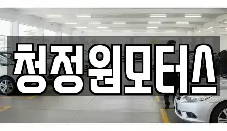 경상북도 경주시 노서동 중고차 전문 청정원모터스