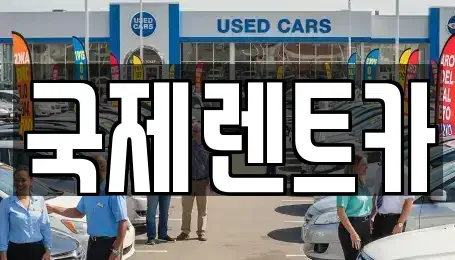 경상북도 구미시 구포동 렌트카 전문 국제렌트카
