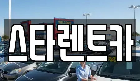 경상북도 구미시 구포동 렌트카 전문 스타렌트카