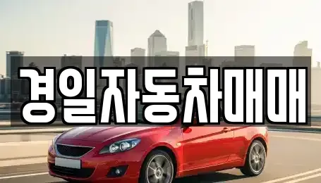 경상북도 구미시 구포동 중고차매매 전문 경일자동차매매