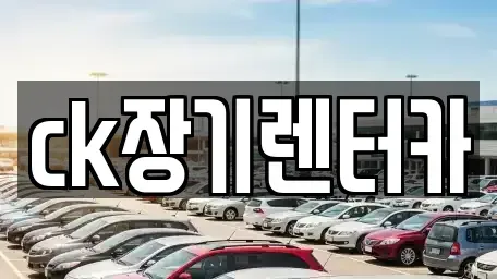 경상북도 김천시 평화동 렌트카 전문 ck장기렌터카
