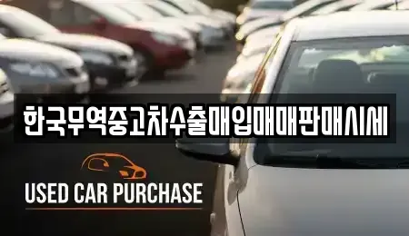 경상북도 김천시 평화동 중고차매입 전문 한국무역중고차수출매입매매판매시세