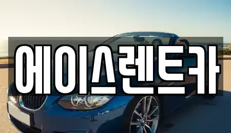 경상북도 상주시 무양동 렌트카 전문 에이스렌트카