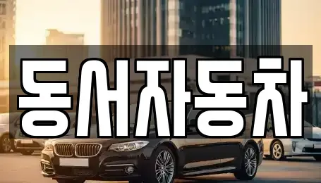 경상북도 상주시 무양동 중고차 전문 동서자동차