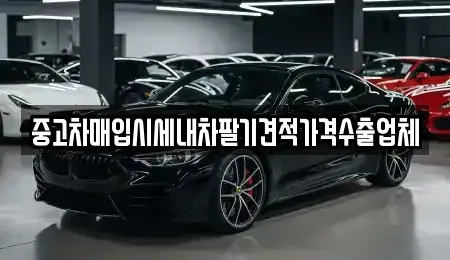 경상북도 상주시 무양동 중고차,렌트카,중고차매입,중고차매매,장기렌트카,단기렌트카