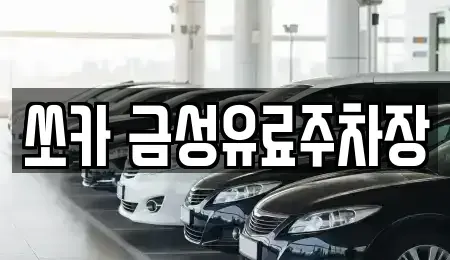 경상북도 안동시 상아동 렌트카 전문 쏘카 금성유료주차장
