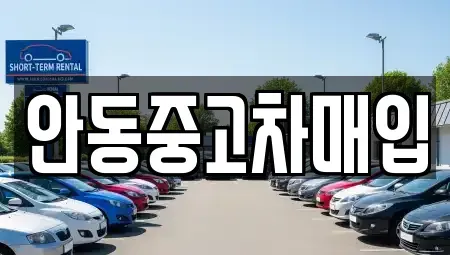 경상북도 안동시 상아동 중고차 전문 안동중고차매입