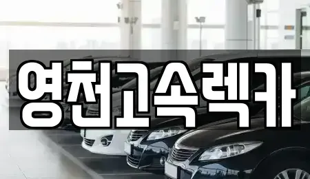 경상북도 영천시 도림동 렌트카 전문 영천고속렉카