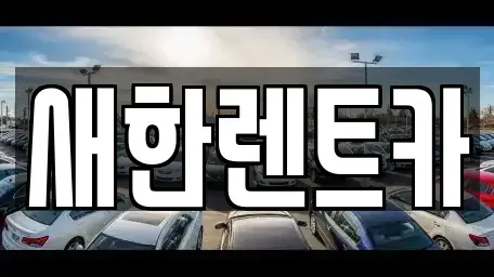 경상북도 영천시 렌트카 전문 새한렌트카