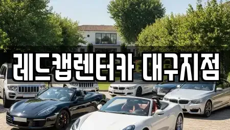 경상북도 영천시 장기렌트카 전문 레드캡렌터카 대구지점