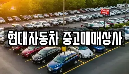 경상북도 영천시 중고차매매,단기렌트카,중고차매입,장기렌트카,중고차,렌트카