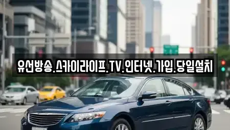 경상북도 청도군 매전면 중고차매입 전문 유선방송.스카이라이프.TV.인터넷.가입.당일설치