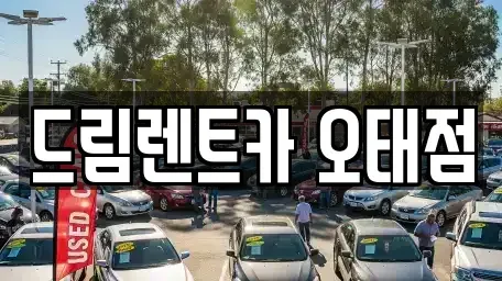 경상북도 칠곡군 북삼읍 렌트카 전문 드림렌트카 오태점