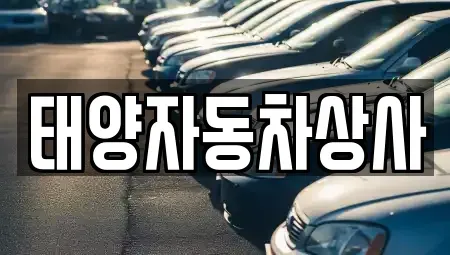 경상북도 칠곡군 북삼읍 중고차매매,단기렌트카,중고차매입,장기렌트카,중고차,렌트카