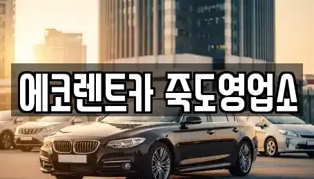 경상북도 포항시 남구 효자동 렌트카 전문 에코렌트카 죽도영업소