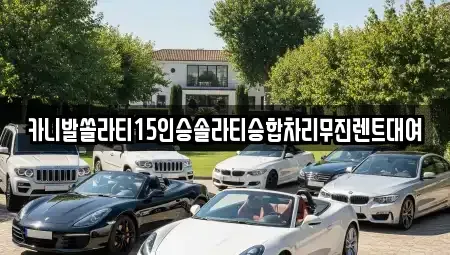경상북도 포항시 남구 효자동 렌트카 전문 카니발쏠라티15인승솔라티승합차리무진렌트대여