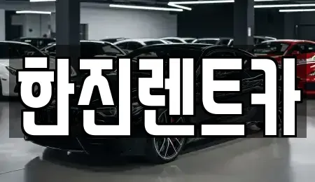 경상북도 포항시 남구 효자동 렌트카 전문 한진렌트카