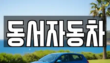 경상북도 포항시 남구 효자동 중고차 전문 동서자동차