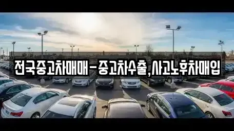 경상북도 포항시 남구 효자동 중고차매입 전문 전국중고차매매-중고차수출,사고노후차매입