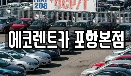경상북도 포항시 렌트카 전문 에코렌트카 포항본점