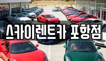 경상북도 포항시 북구 용흥동 렌트카 전문 스카이렌트카 포항점
