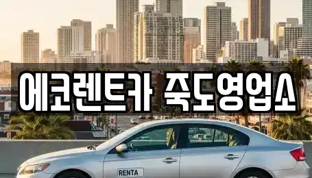 경상북도 포항시 북구 용흥동 렌트카 전문 에코렌트카 죽도영업소