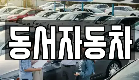 경상북도 포항시 북구 죽장면 중고차매매 전문 동서자동차