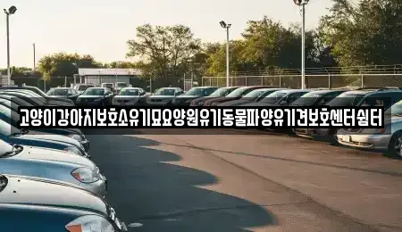 광주 광산구 대산동 중고차 전문 고양이강아지보호소유기묘요양원유기동물파양유기견보호센터쉼터
