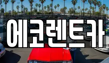 광주 남구 구동 렌트카 전문 에코렌트카