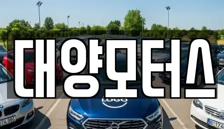 광주 남구 구동 중고차 전문 대양모터스